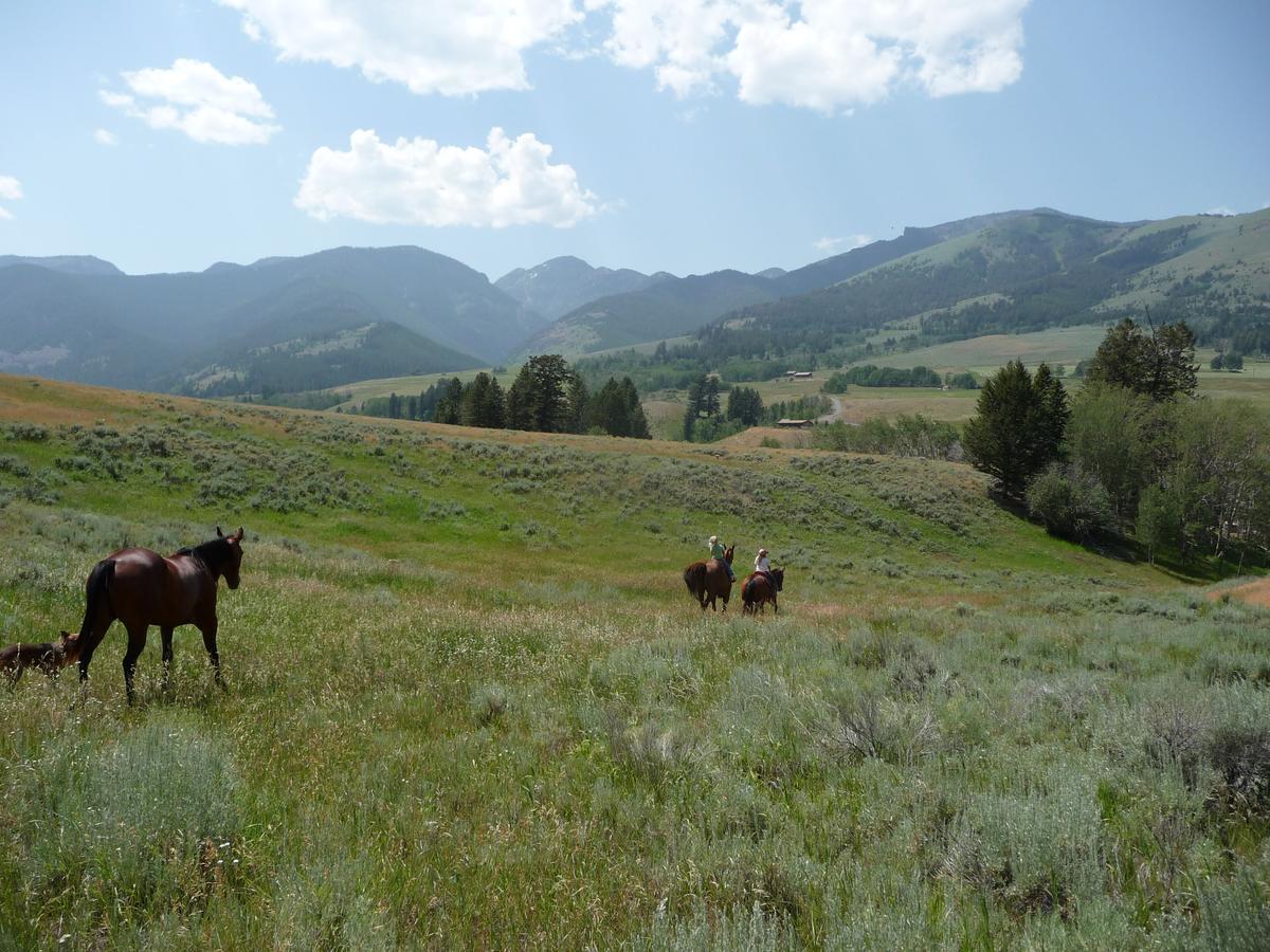 Mcdonald'S Ranch Lodge Gardiner Bagian luar foto