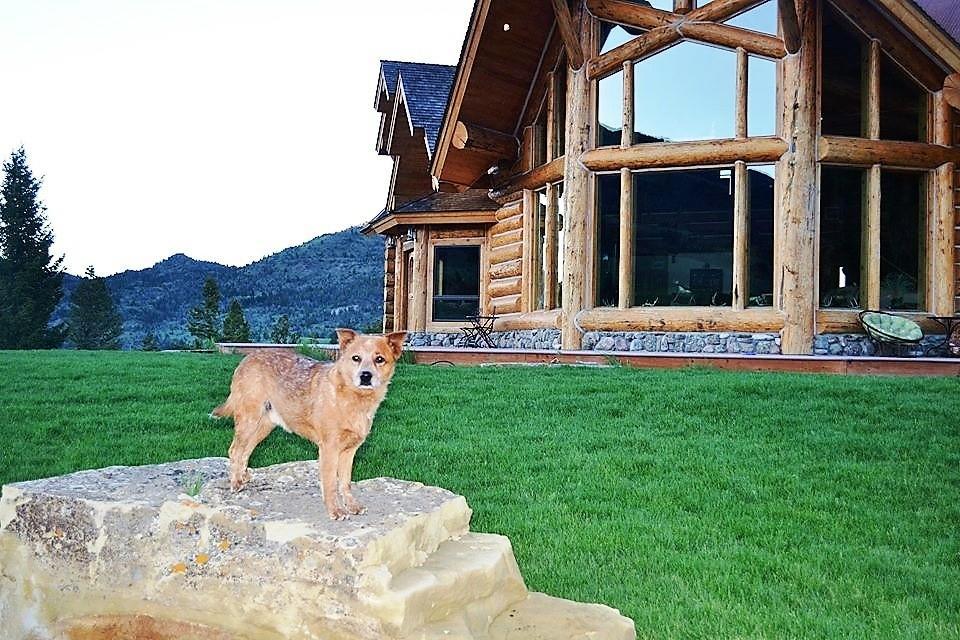 Mcdonald'S Ranch Lodge Gardiner Bagian luar foto